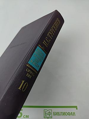 И.С. Тургенев. Полное собрание сочинений и писем. Том 10: Повести, рассказы, стихотворения в прозе, произведения разных годов