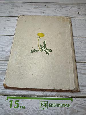 Лесные разговоры
