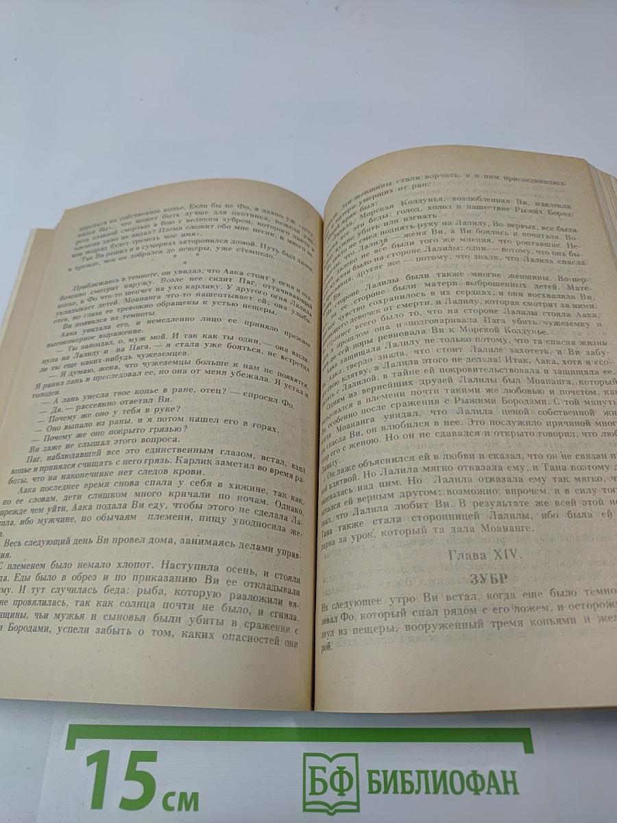 Ледяные боги. Эрик Светлоокий