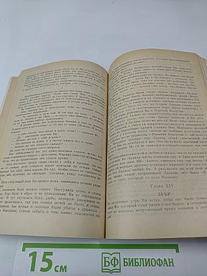 Ледяные боги. Эрик Светлоокий