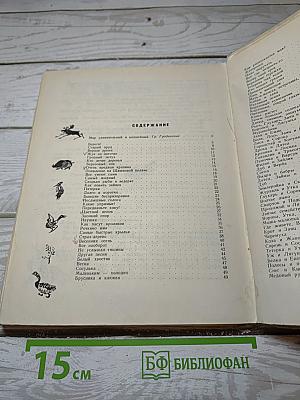 Цветной венок