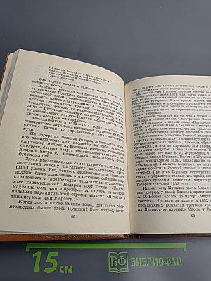 Пушкин и военная галерея Зимнего дворца