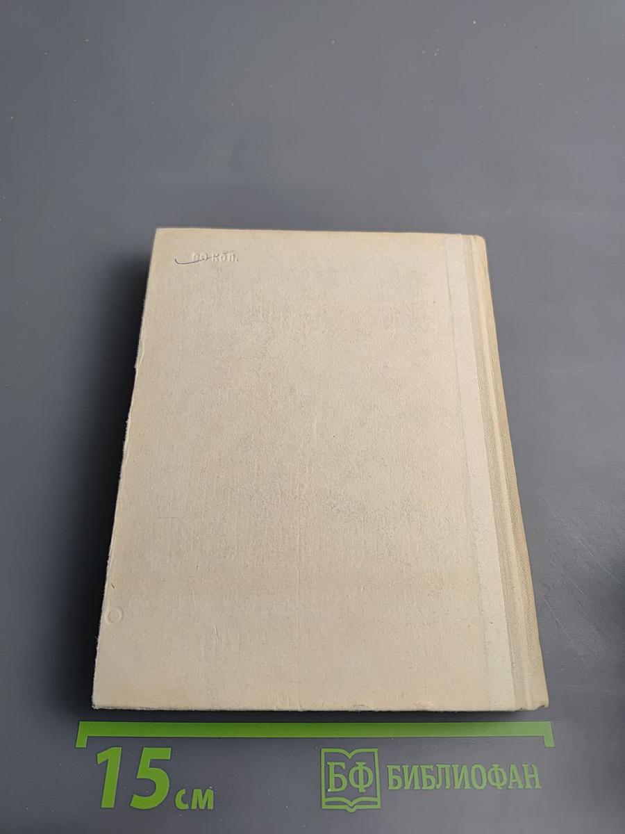 Стасов в Петербурге