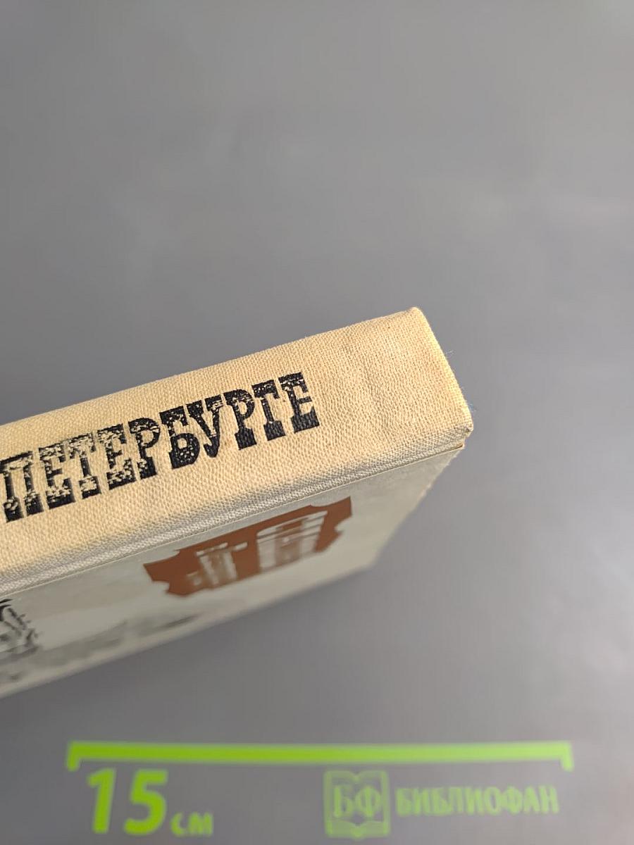 Стасов в Петербурге