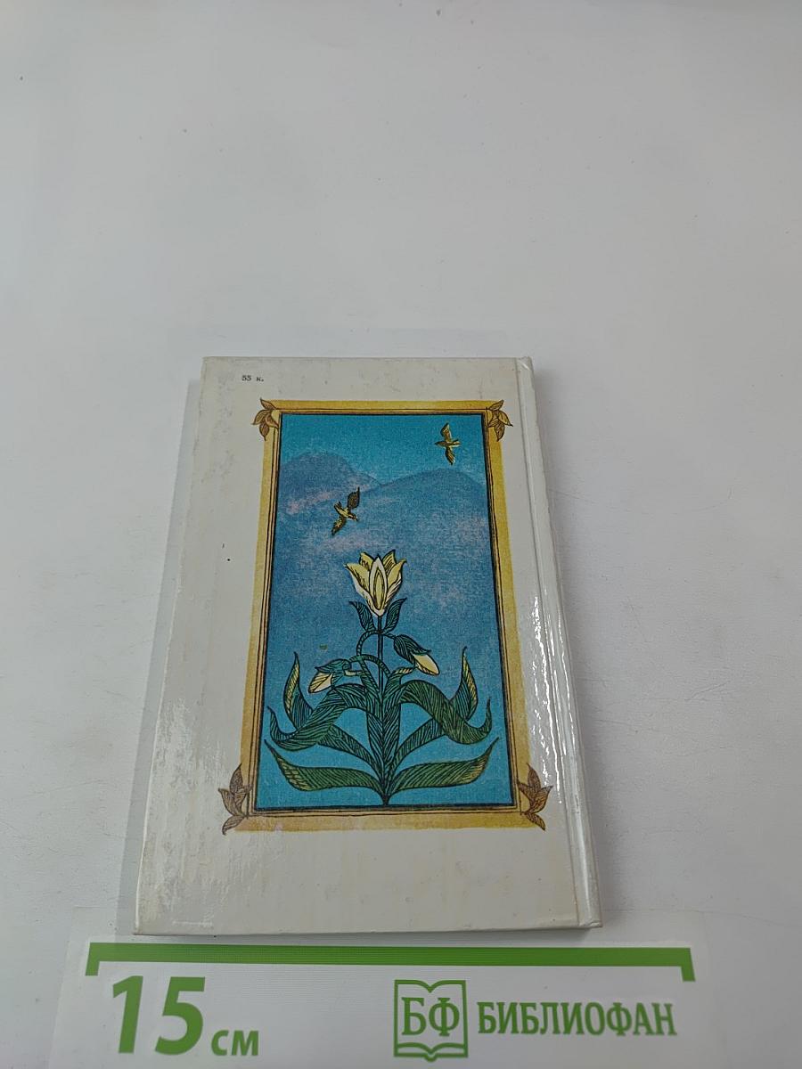 Насир Хосров. Лирика