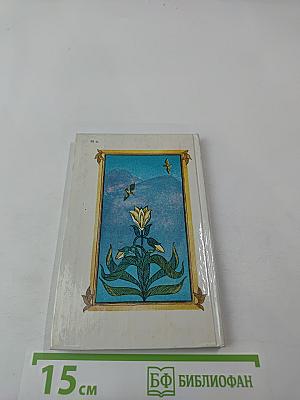 Насир Хосров. Лирика