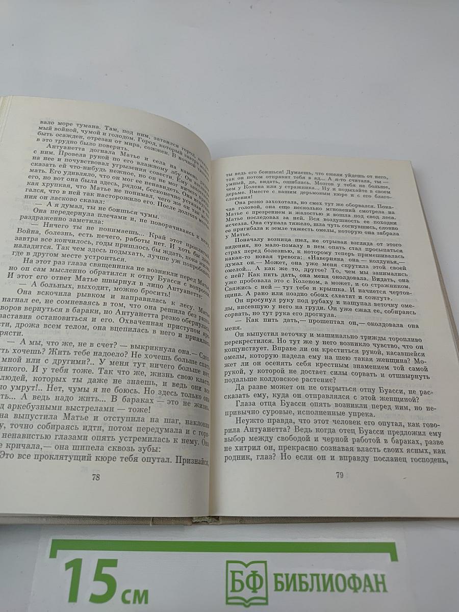 Пора волков