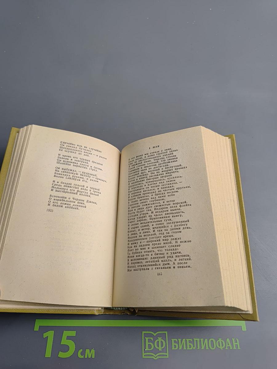 Эдуард Багрицкий. Стихотворения и поэмы