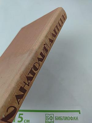 Собрание сочинений в трех томах. Том 2. Повести и рассказы