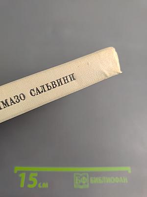 Томмазо Сальвини