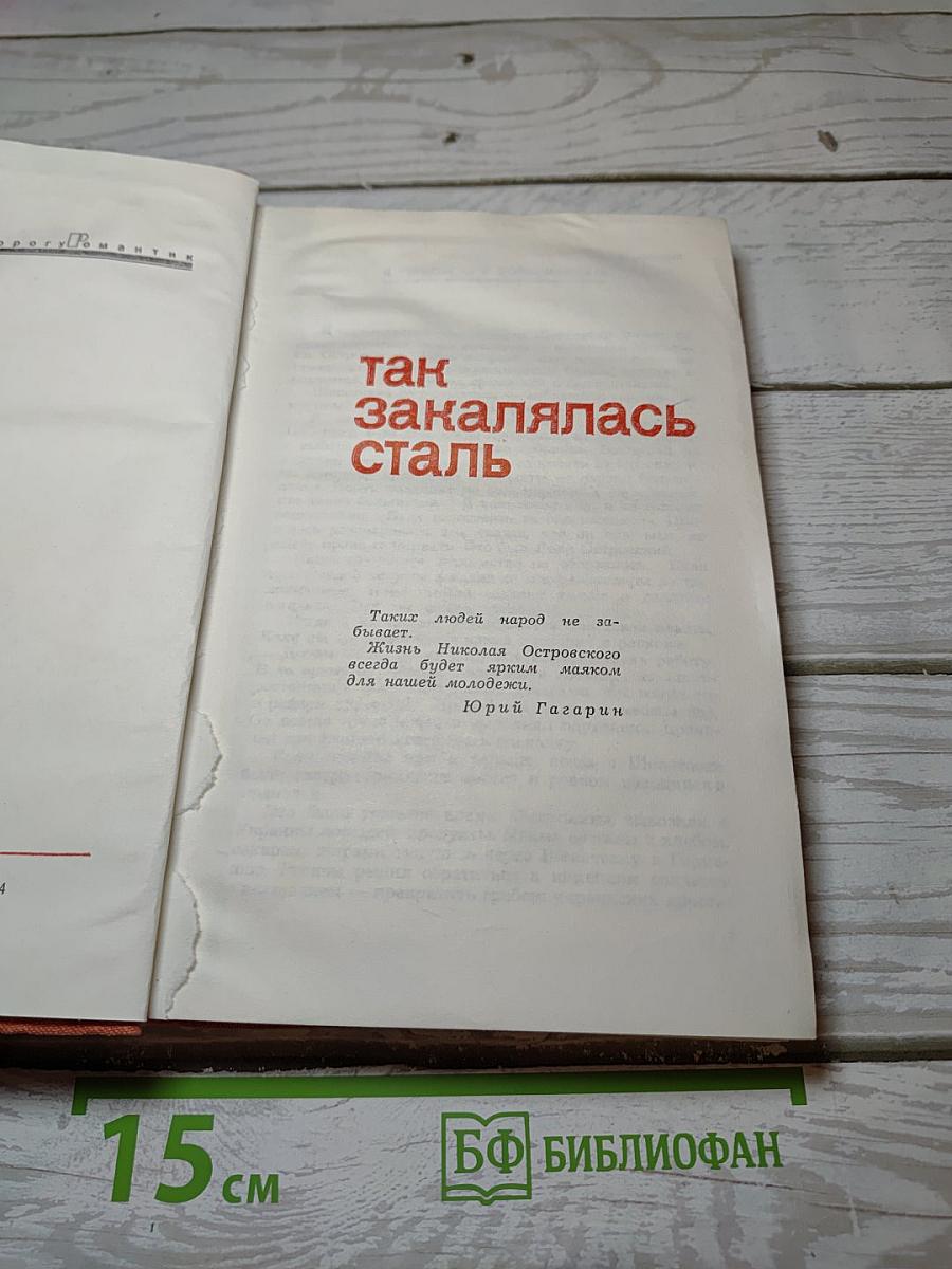 Воспоминания о Николае Островском