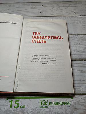 Воспоминания о Николае Островском