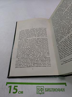 Два одиночества