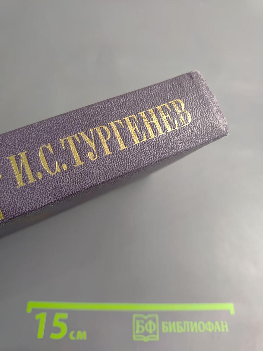 Полное собрание сочинений и писем И.С. Тургенева. Сочинения. Том первый