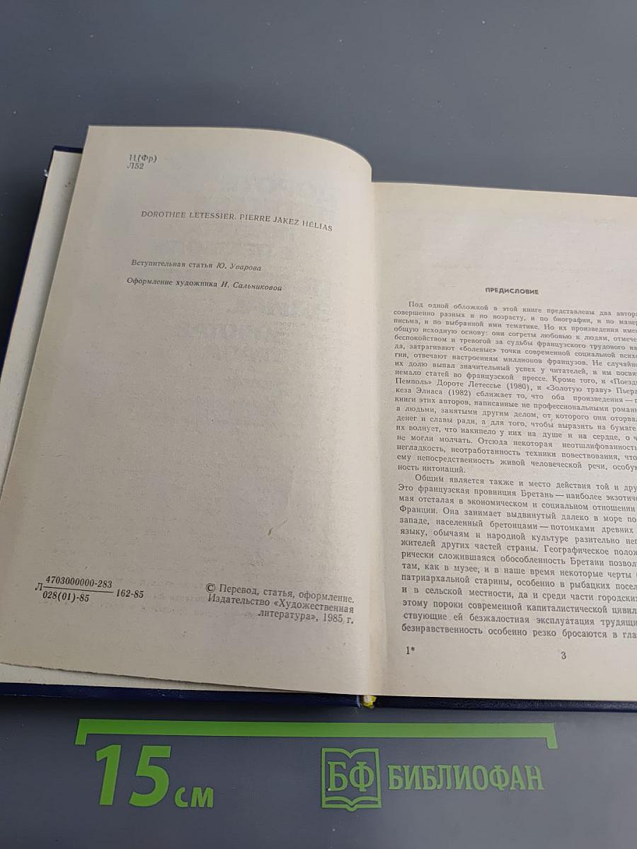 Дороте Летессье Поездка в Пемполь, Пьер Жакез Элиас Золотая трава