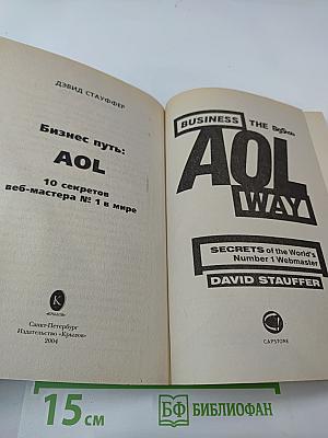 Бизнес путь: AOL. 10 секретов веб-мастера № 1 в мире