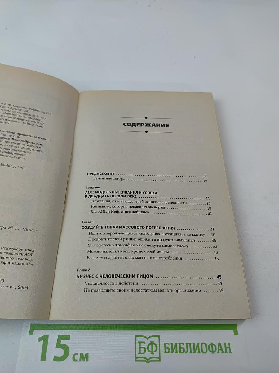 Бизнес путь: AOL. 10 секретов веб-мастера № 1 в мире