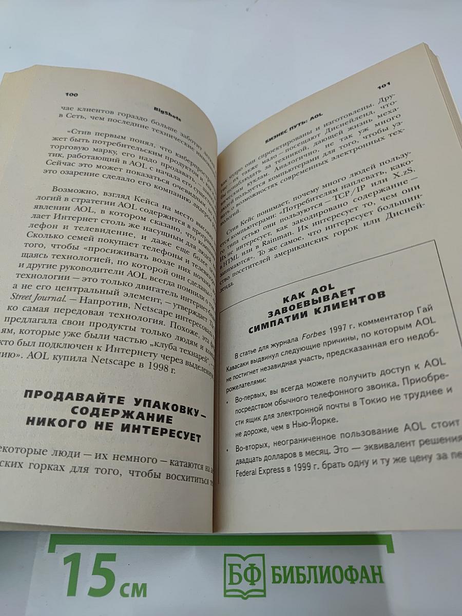 Бизнес путь: AOL. 10 секретов веб-мастера № 1 в мире