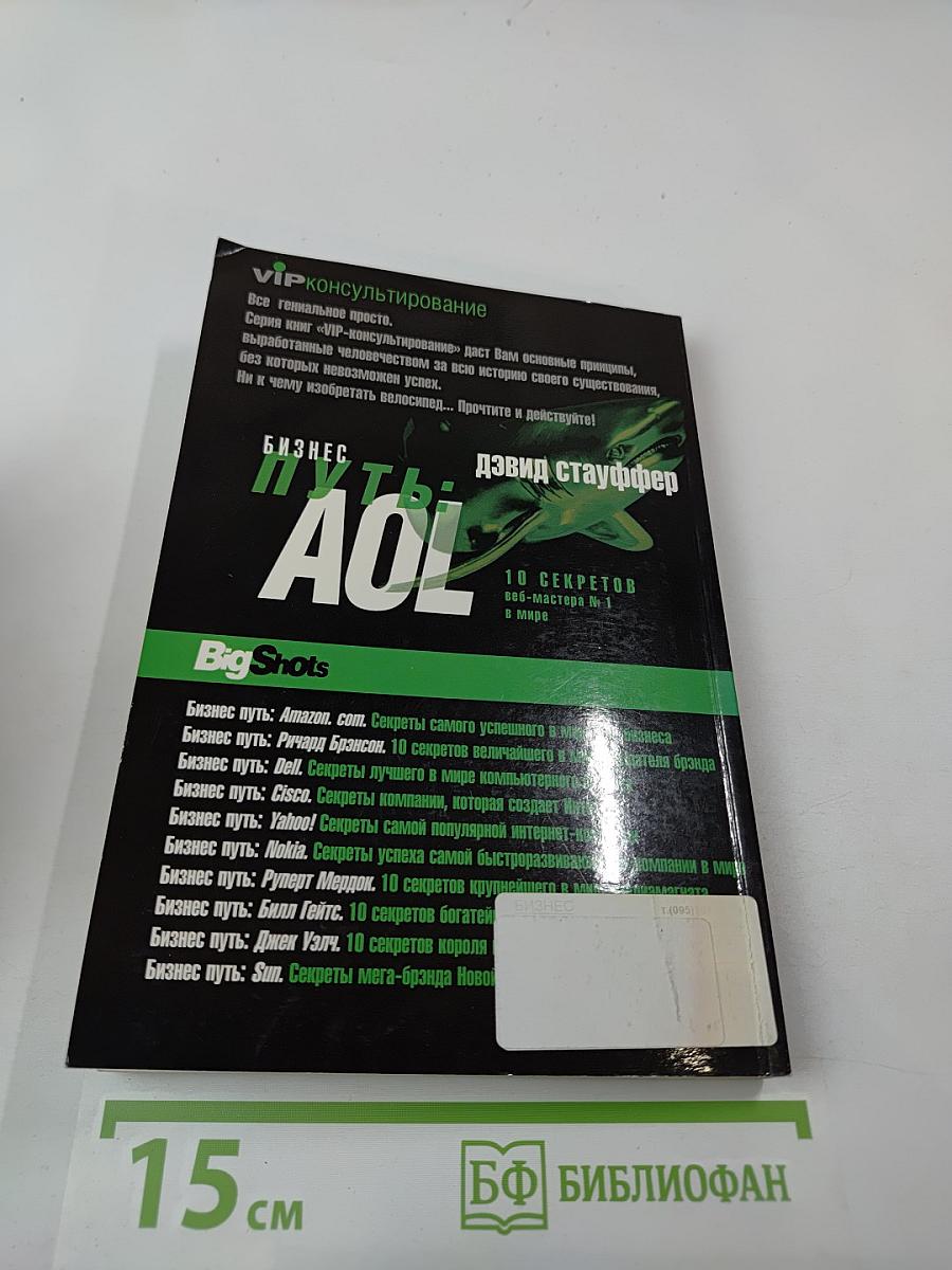 Бизнес путь: AOL. 10 секретов веб-мастера № 1 в мире
