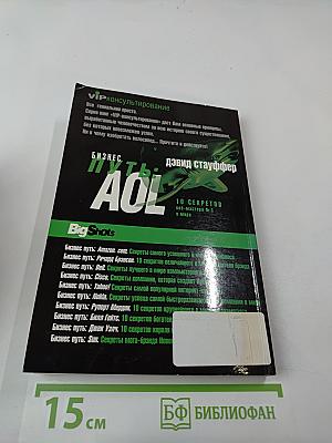 Бизнес путь: AOL. 10 секретов веб-мастера № 1 в мире
