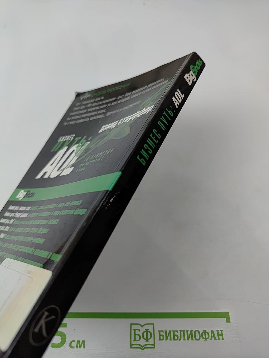 Бизнес путь: AOL. 10 секретов веб-мастера № 1 в мире