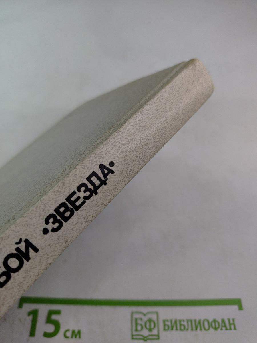 Наша с тобой звезда. Чьи сыновья