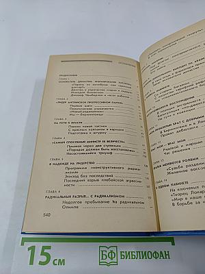 Джозеф Чемберлен и сыновья