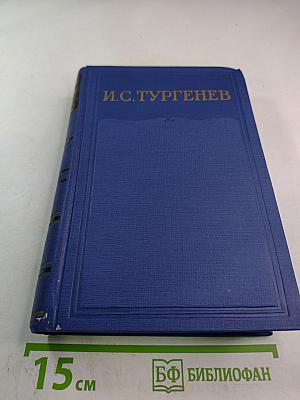 Письма. Том шестой. 1865-1867