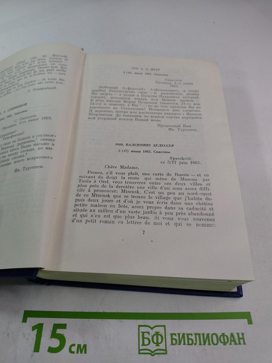 Письма. Том шестой. 1865-1867