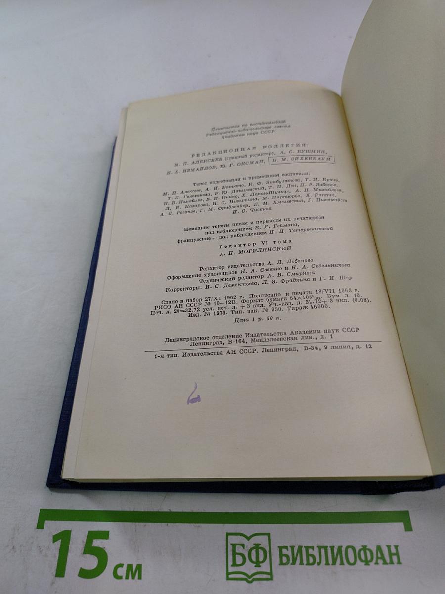Письма. Том шестой. 1865-1867