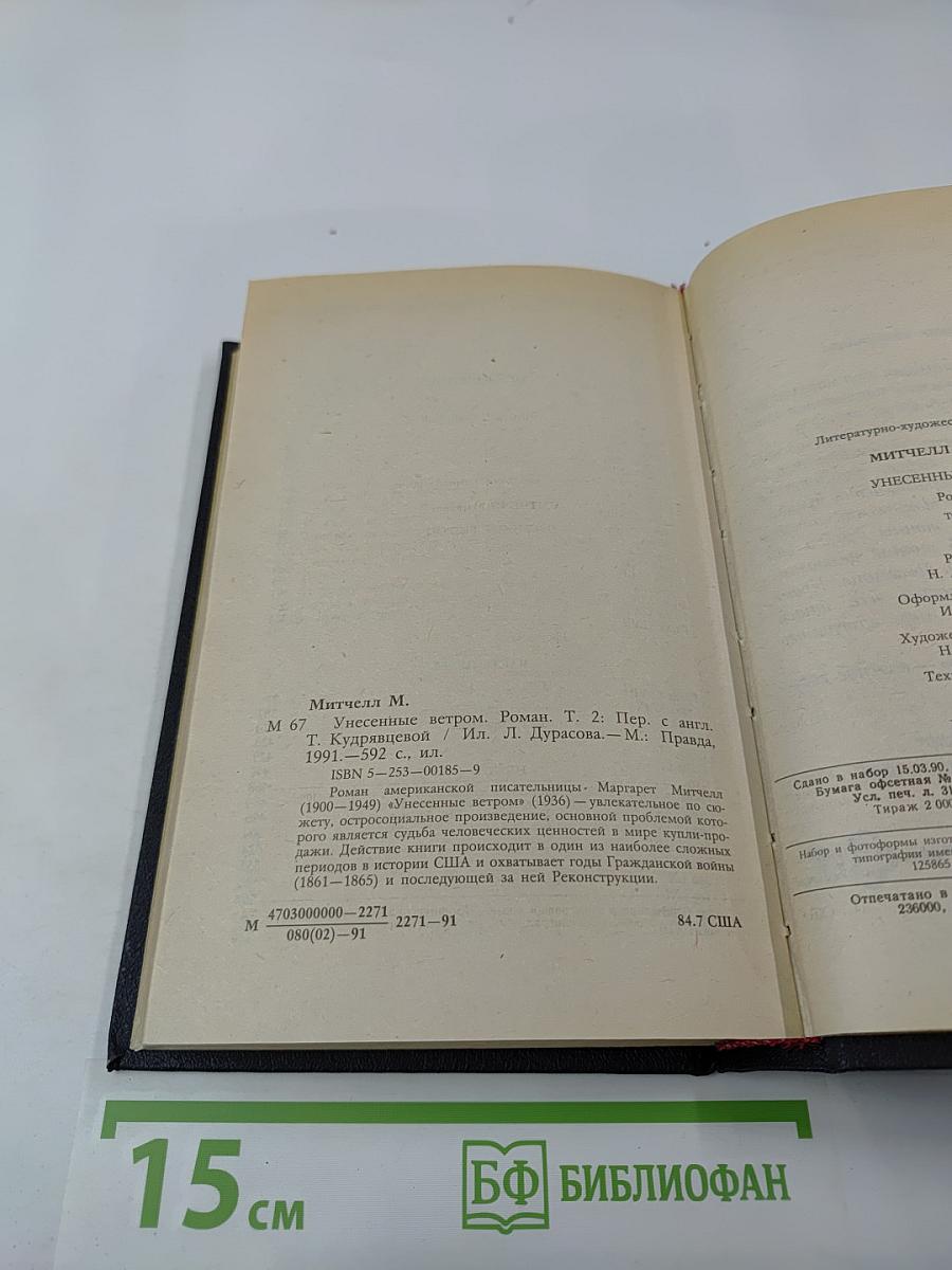 Унесенные ветром. Том 2
