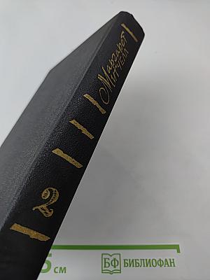 Унесенные ветром. Том 2