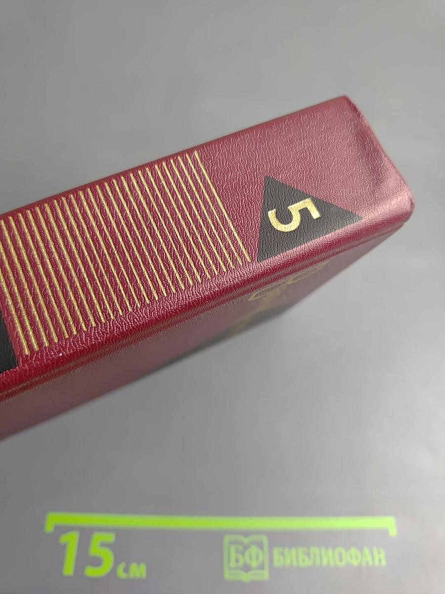 Собрание сочинений. Том пятый. Заре навстречу