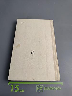 Тогда, в дождь