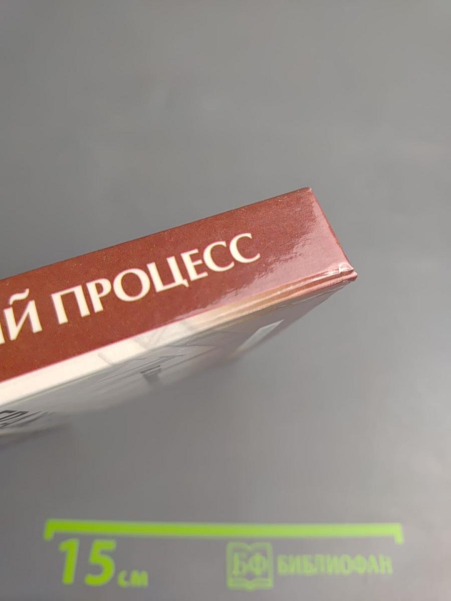 Гражданский процесс. Курс лекций