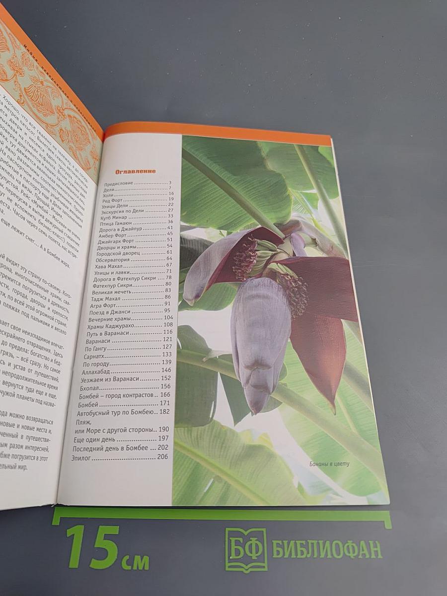 Индия. Невероятная... и невозможная