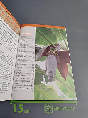 Индия. Невероятная... и невозможная