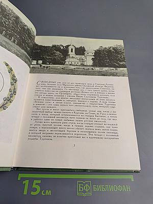 Середина столетия