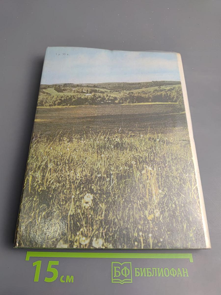 Середина столетия