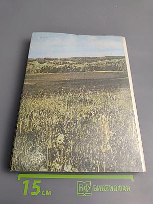 Середина столетия