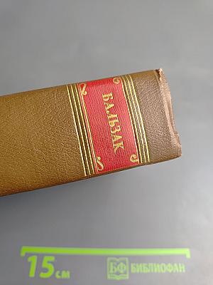 Человеческая комедия. Бедные родственники: Кузина Бетта, Кузен Понс. Том 10