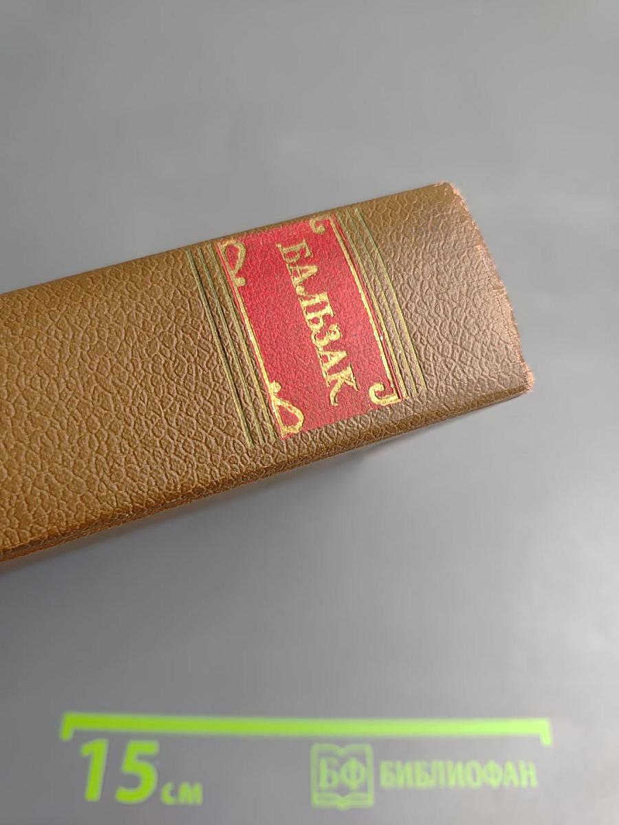 Очерки. Литературно-критические статьи. Избранные письма. Том 15