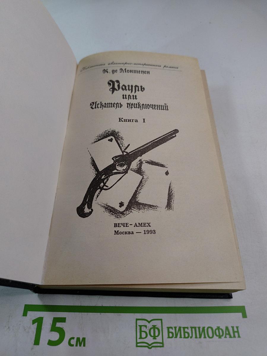 Рауль или Искатель приключений. Книга I