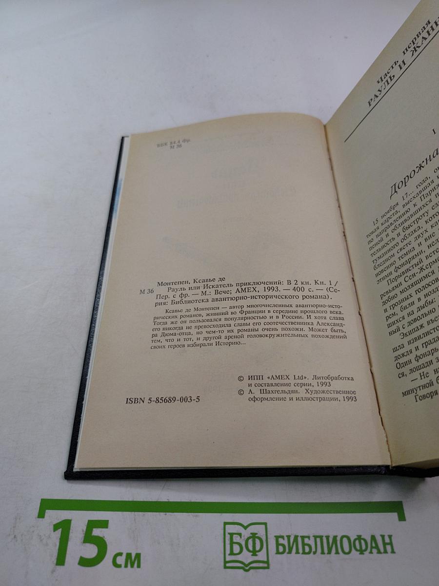 Рауль или Искатель приключений. Книга I