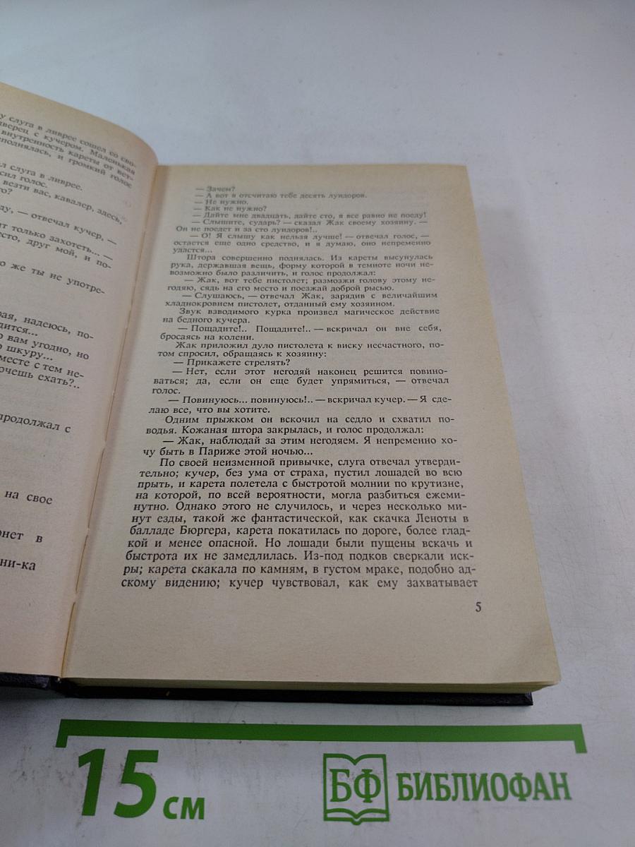 Рауль или Искатель приключений. Книга I