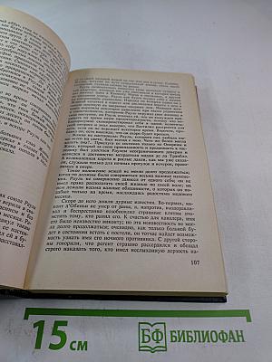 Рауль или Искатель приключений. Книга I