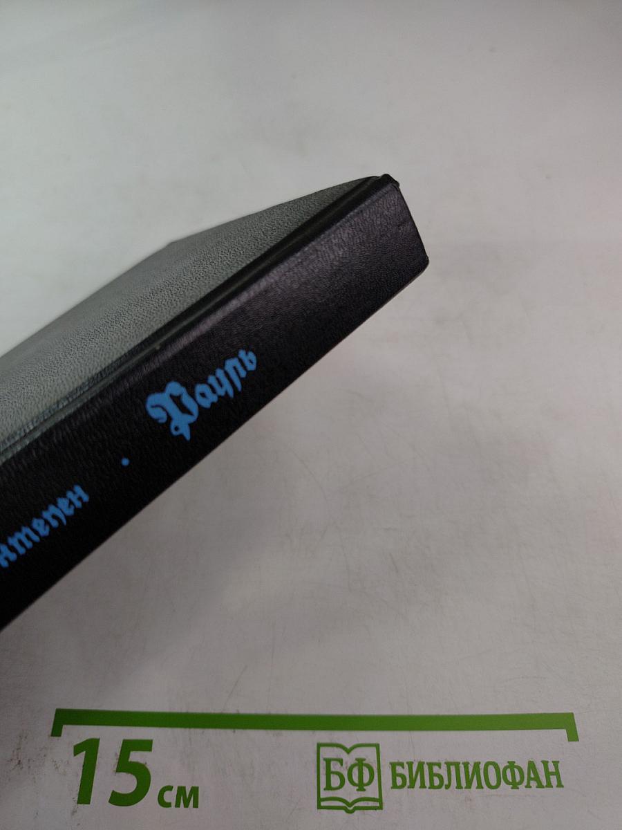 Рауль или Искатель приключений. Книга I