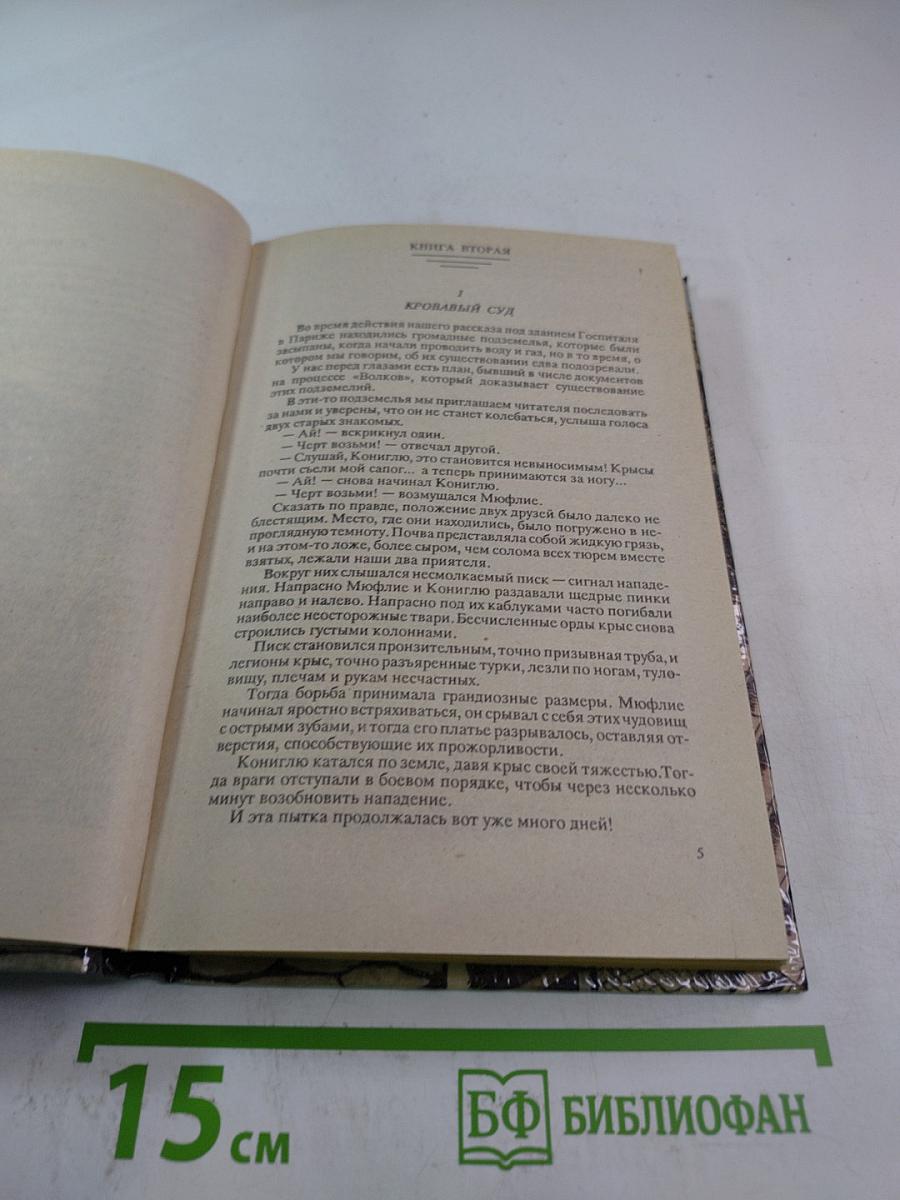 Парижские волки. Книга 2. Царь зла