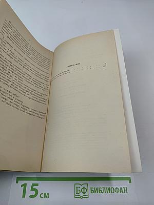 Покушение на миражи. Чистые воды Китежа