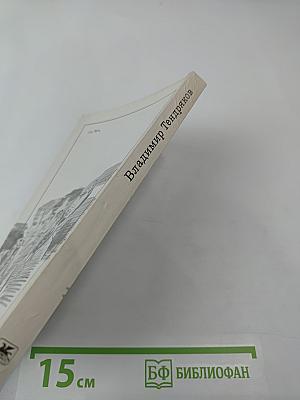 Покушение на миражи. Чистые воды Китежа